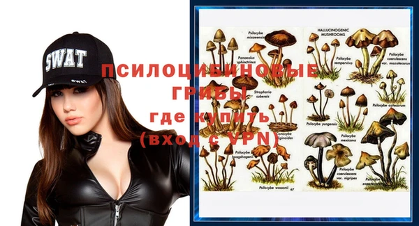 Альфа ПВП Вязники