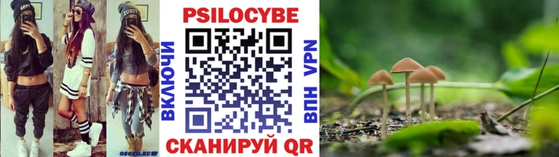 Галлюциногенные грибы мухоморы  Купить закладки  Хотьково 